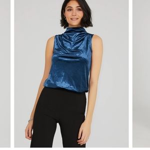 Velvet Sleeveless top